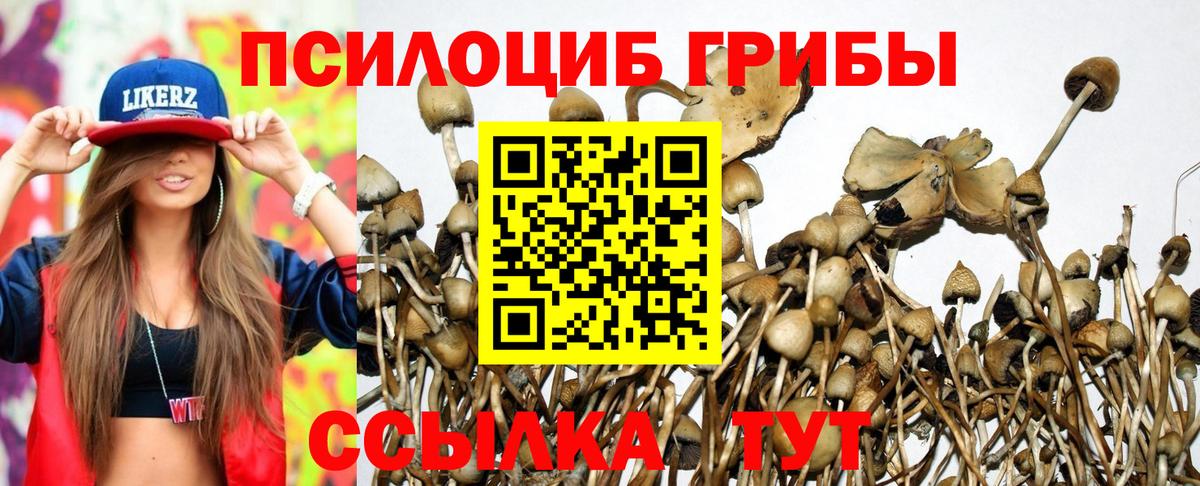 Псилоцибиновые грибы ЛСД  Псилоцибиновые грибы мухоморы  дарнет шоп  Вход с VPN  Стерлитамак 